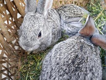 EA即将于7月的EA Play上公开死亡空间系列新作